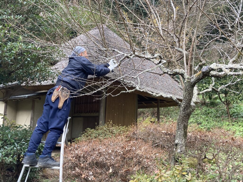 小谷野康太プロフィール写真2