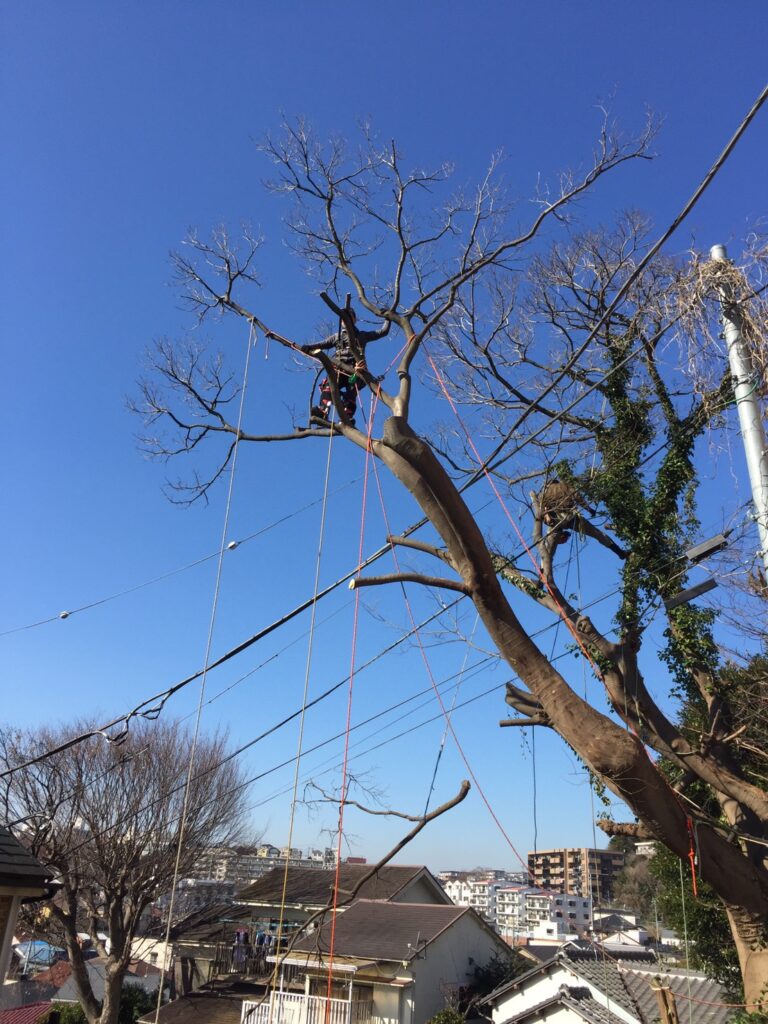 大野真一郎プロフィール写真7